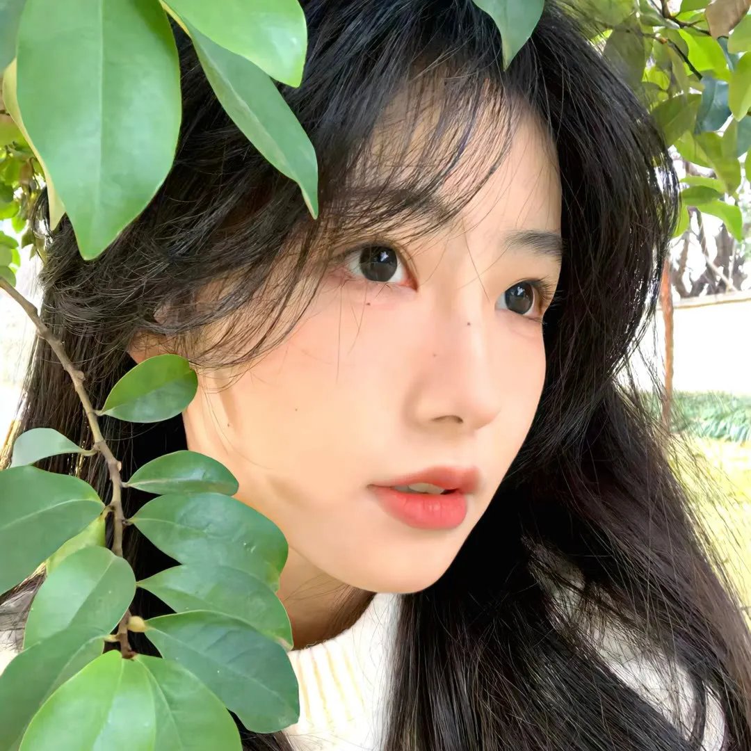 生命树